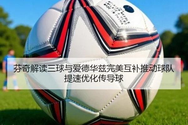 芬奇解读三球与爱德华兹完美互补推动球队提速优化传导球